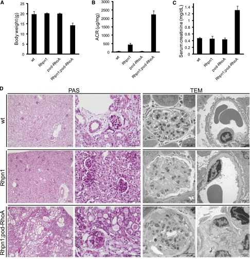 Figure 10.