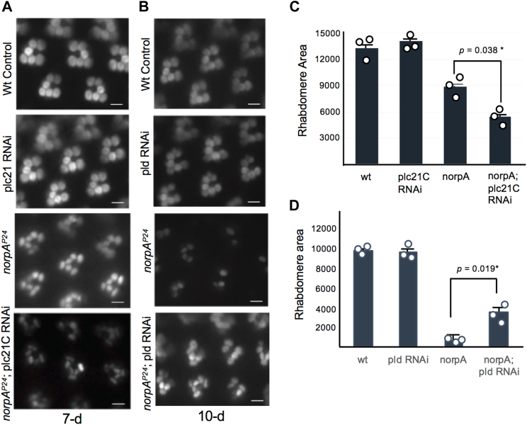 Figure 7