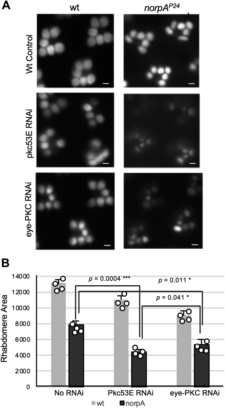 Figure 6