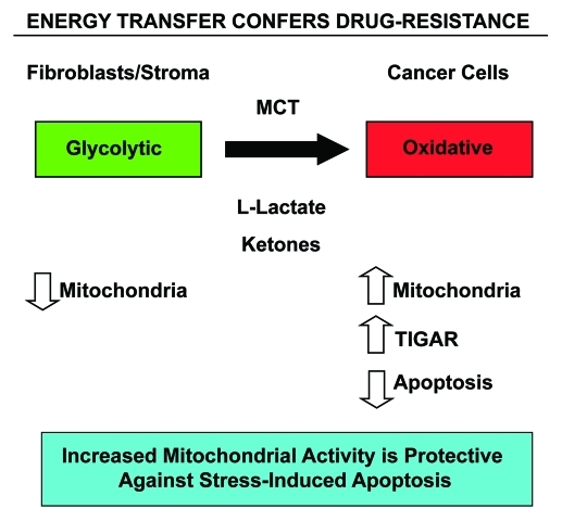 Figure 10.