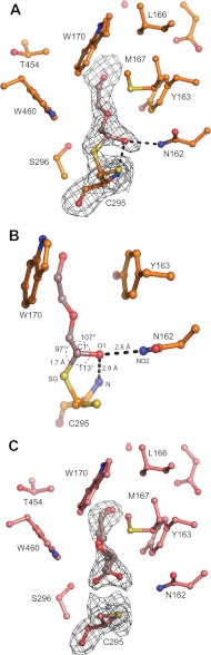 FIGURE 4.