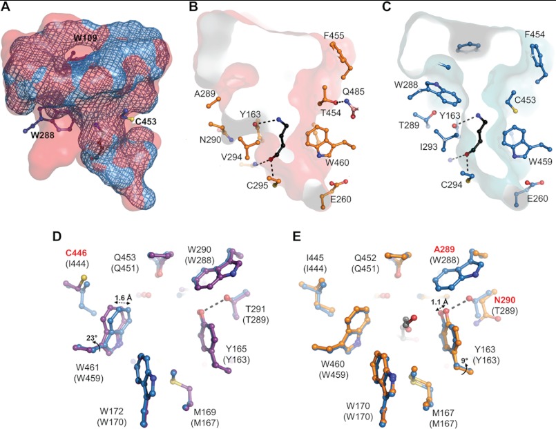 FIGURE 6.