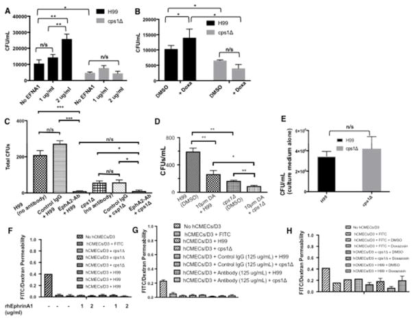 Fig 10