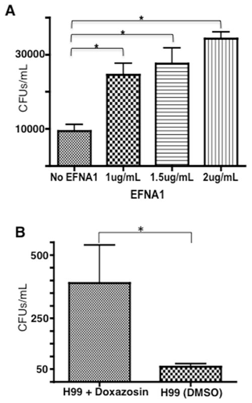 Fig 5