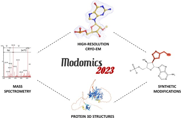 Graphical Abstract