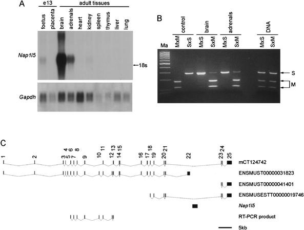 Figure 2.