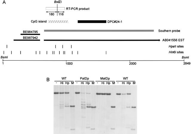 Figure 1.