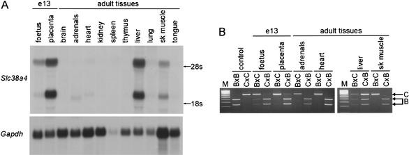 Figure 6.