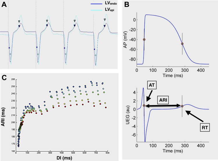 Fig. 2.