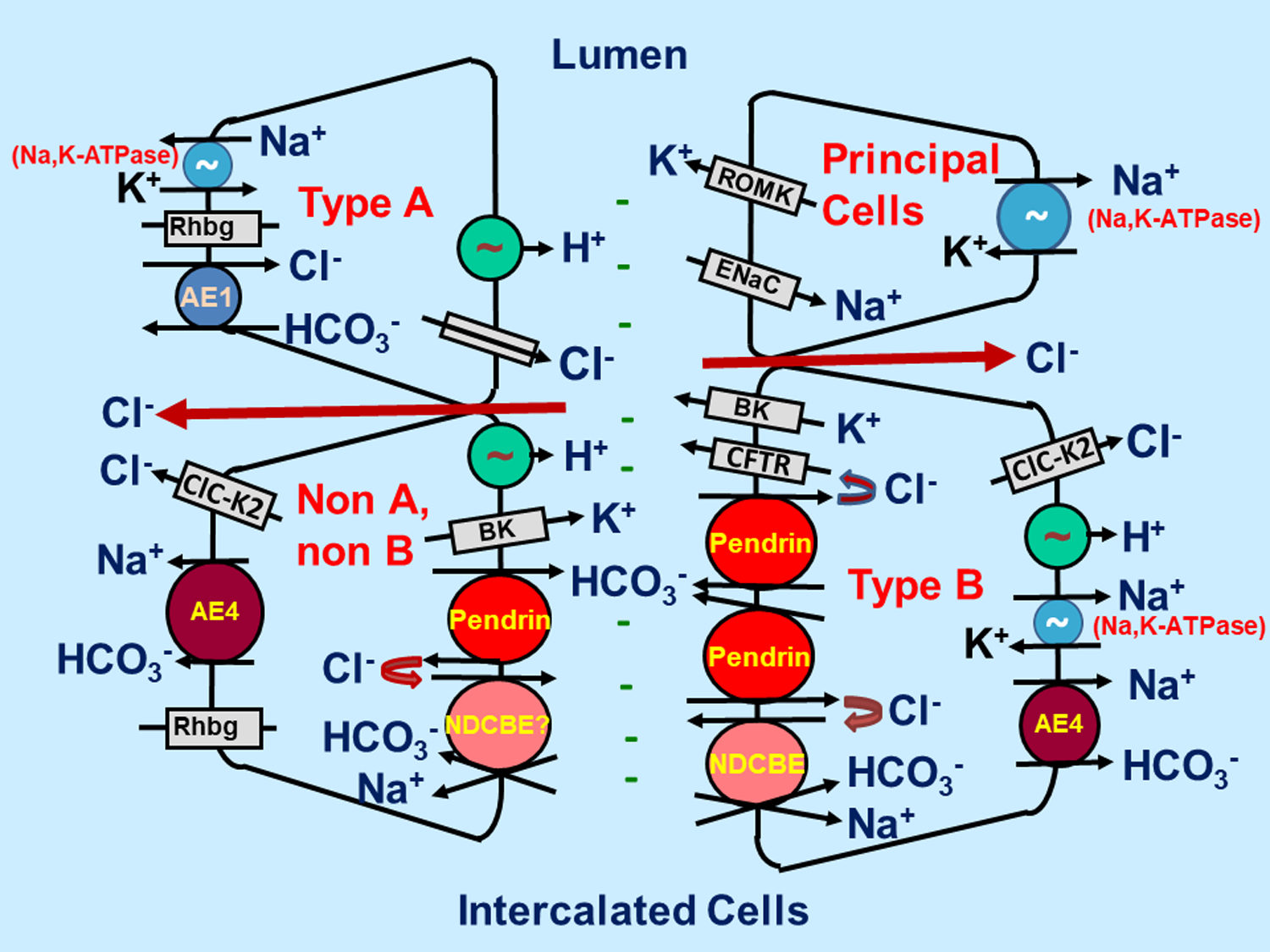 Figure 1: