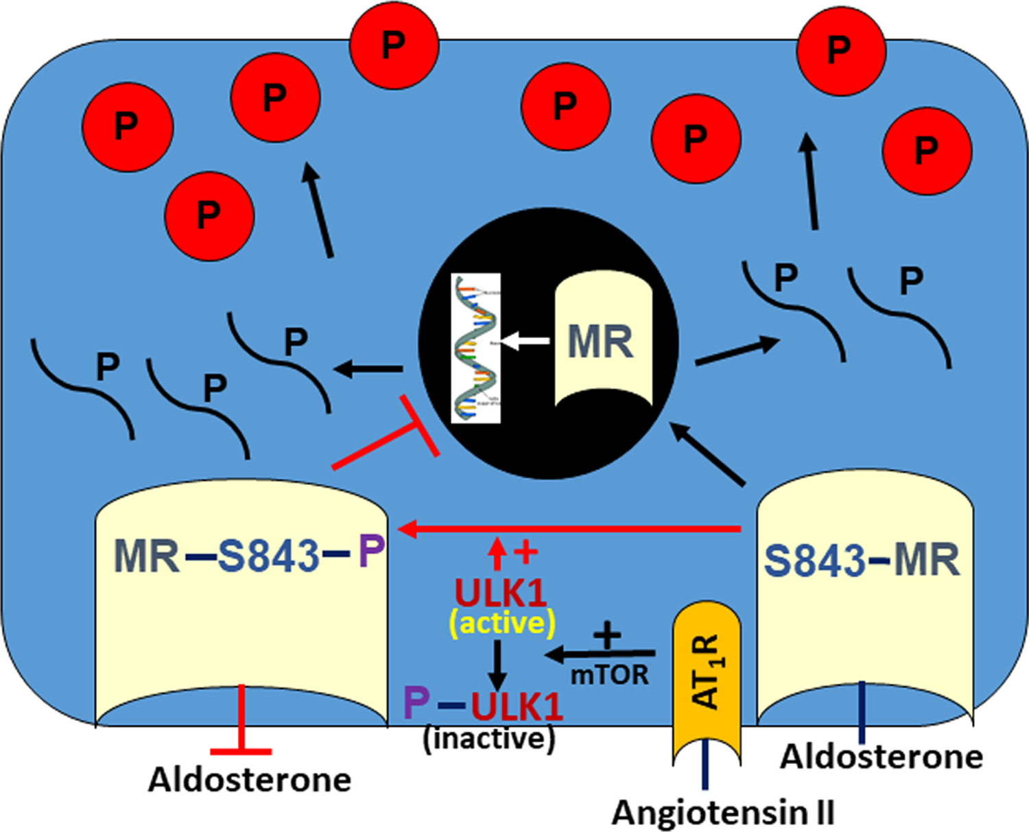 Figure 2: