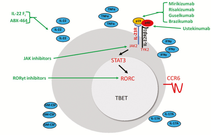 FIGURE 2.