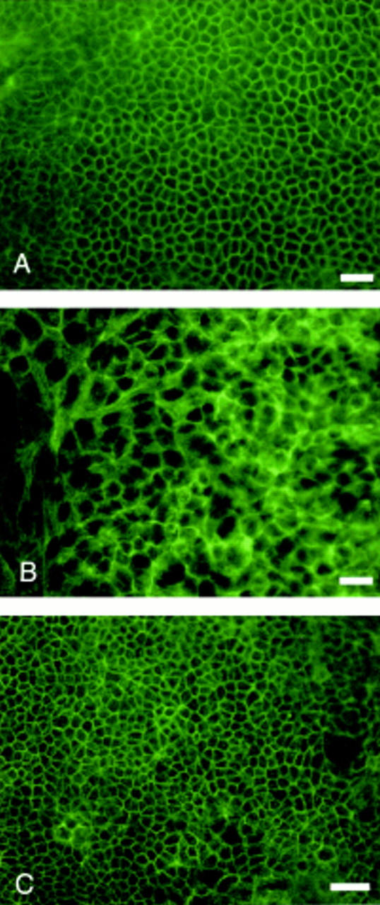 Figure 3  