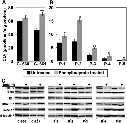 Figure 3.