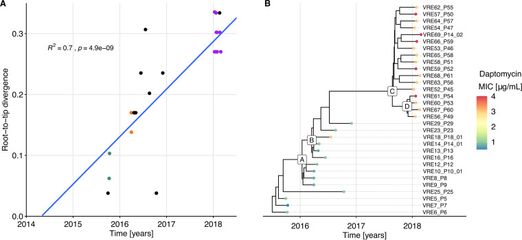 FIG 2