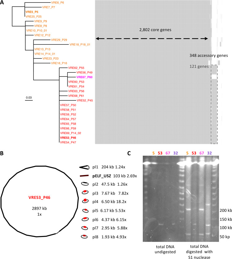 FIG 3