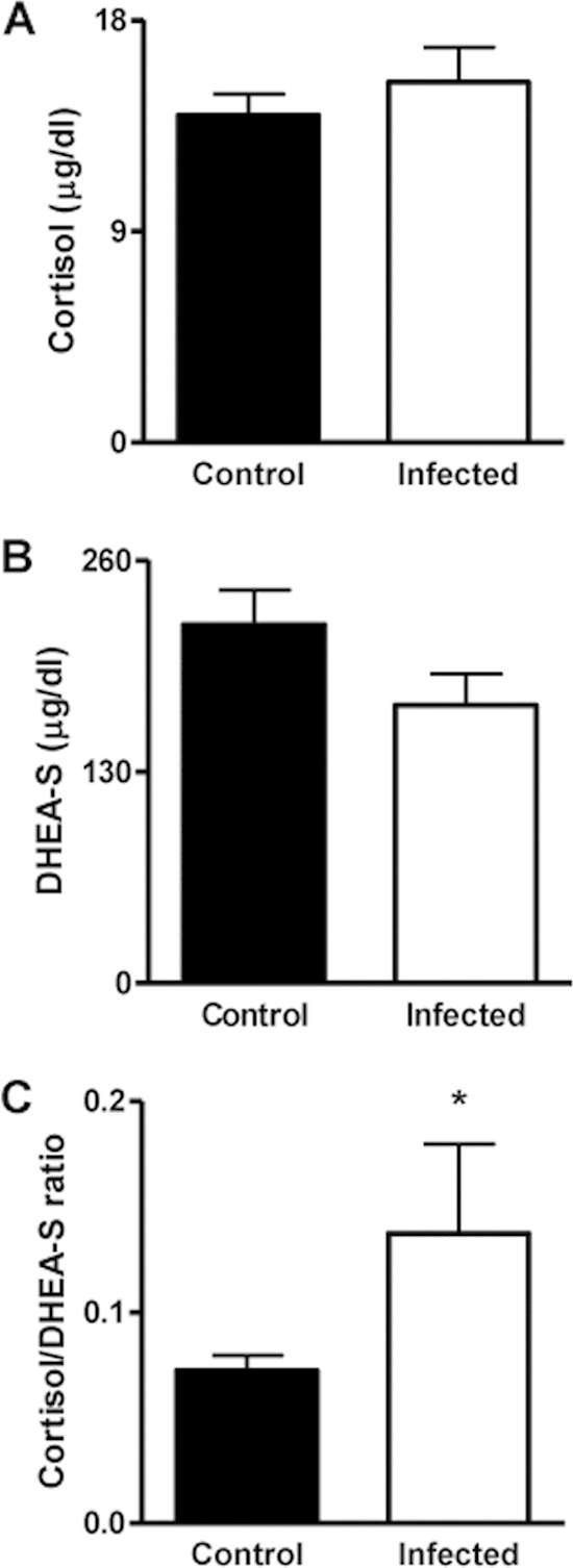 FIG 1