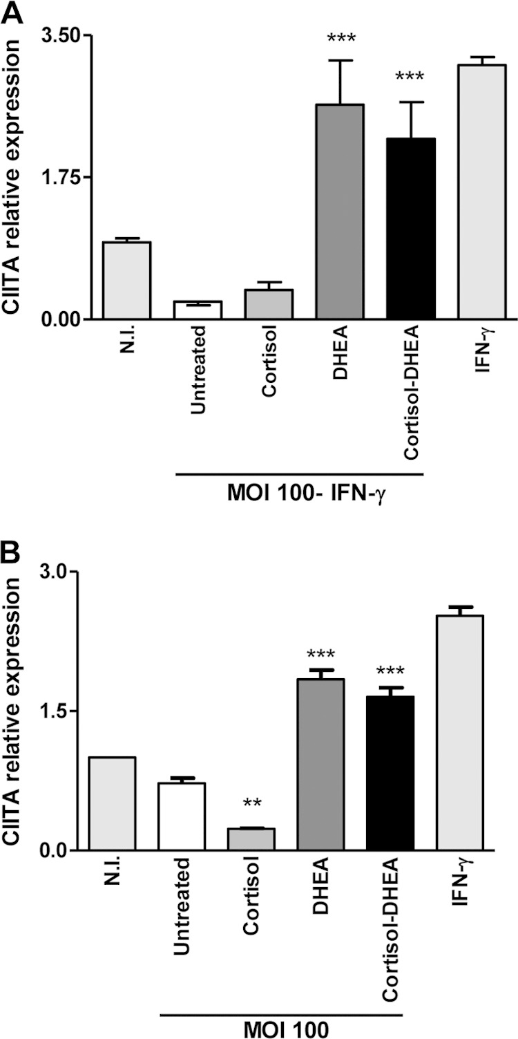 FIG 8