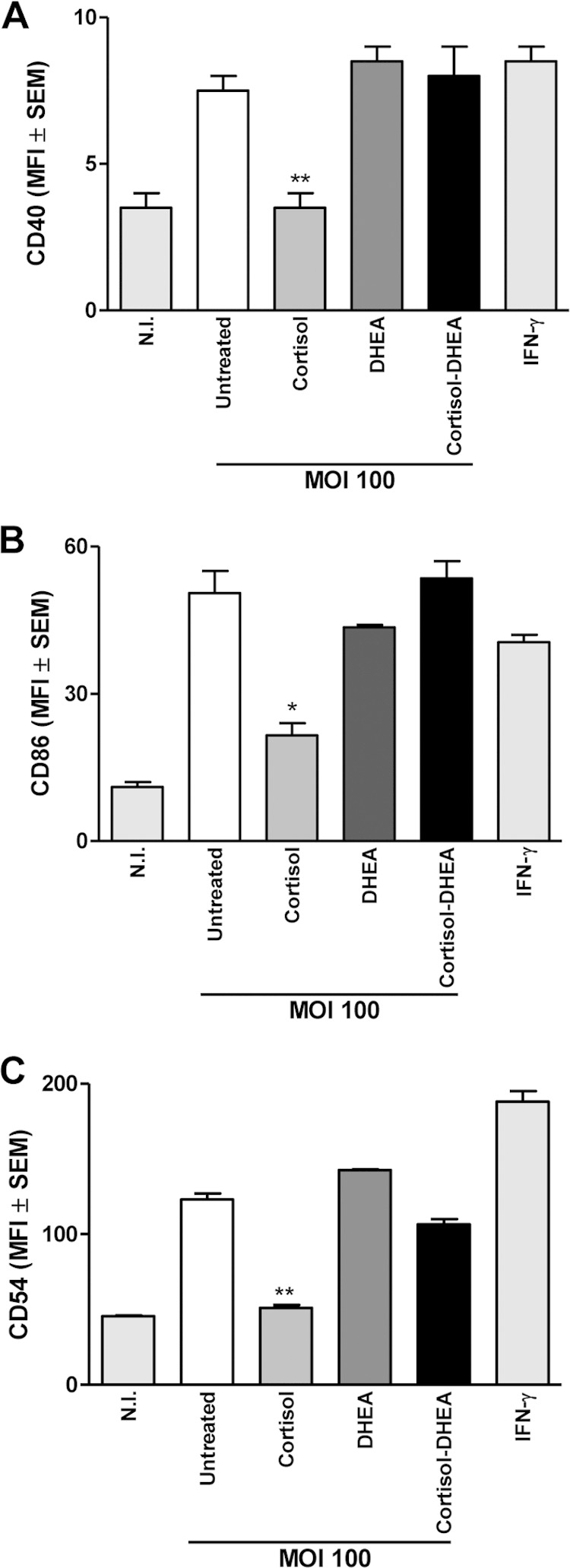 FIG 6