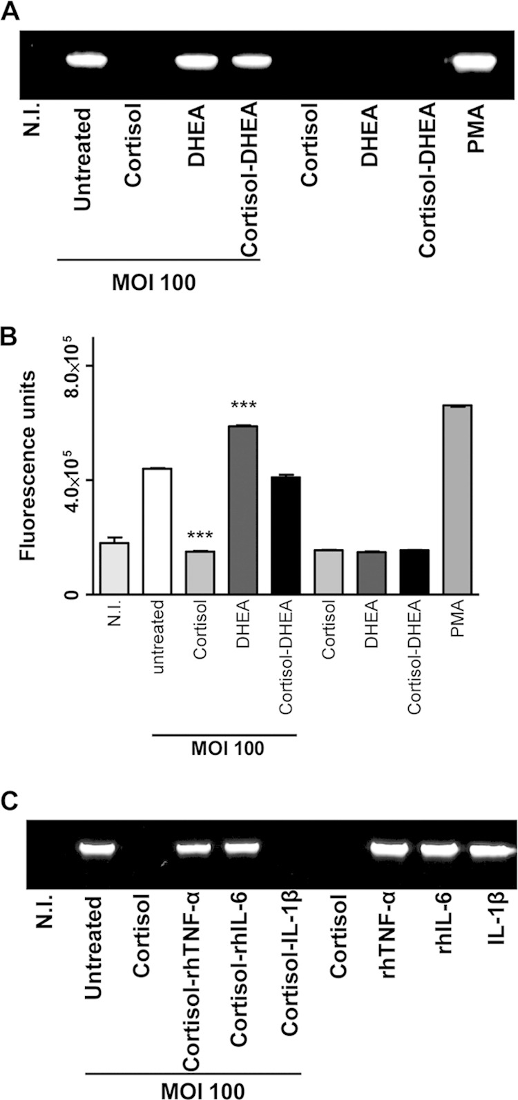 FIG 4