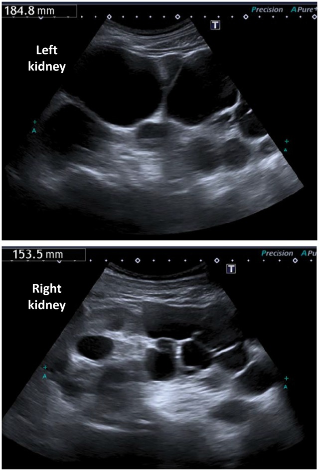 FIGURE 1