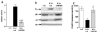 Figure 23