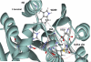 Figure 28