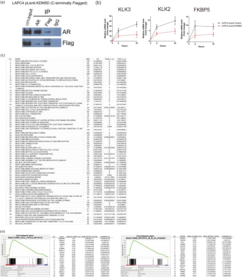 Fig. S4.