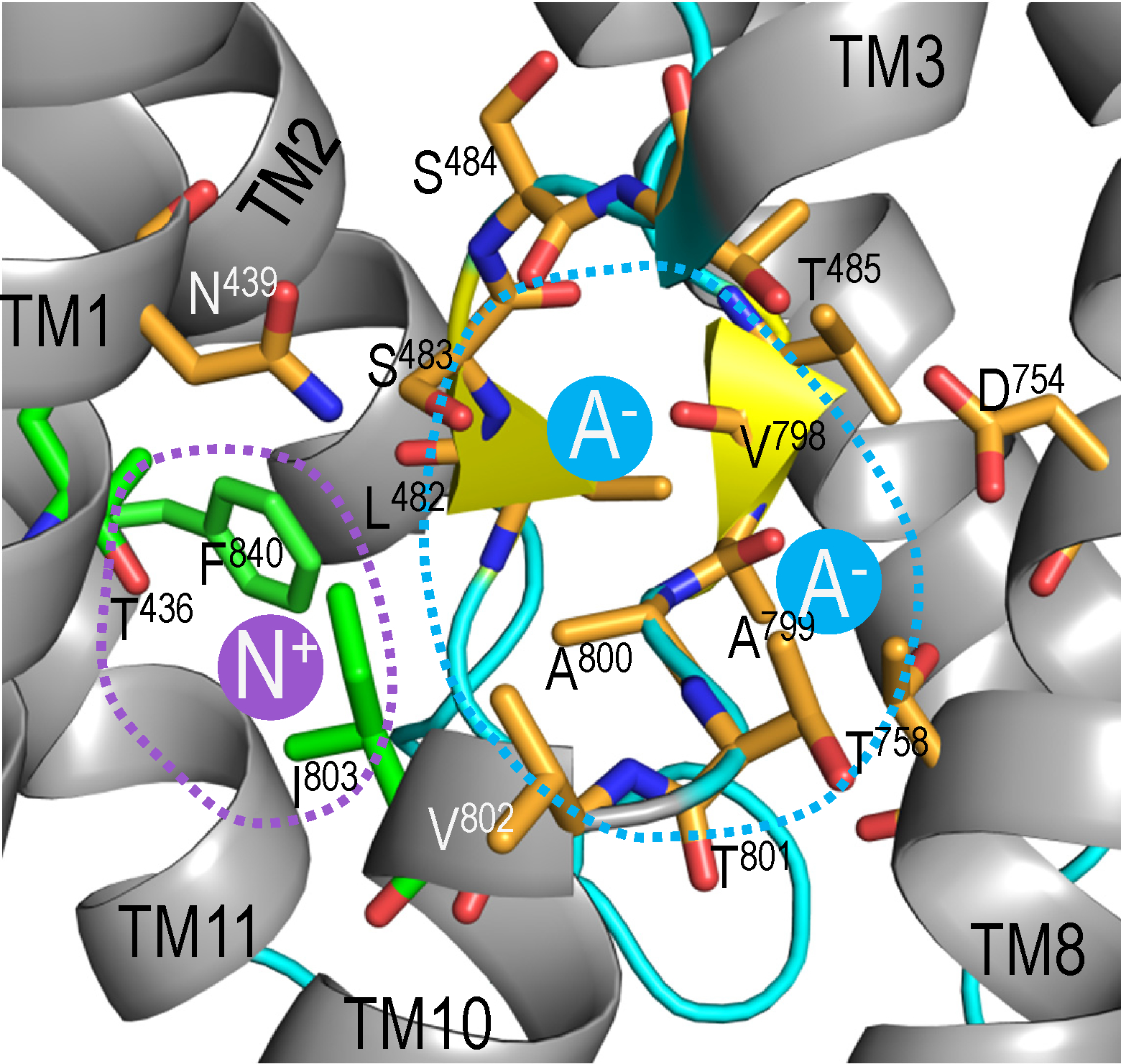 Figure 3.