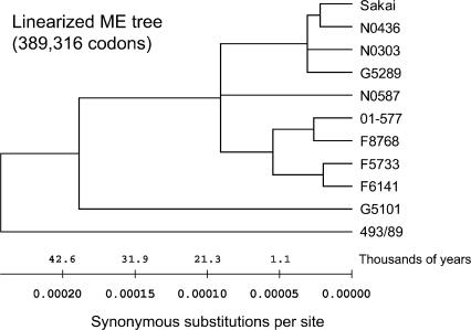 Figure 6.