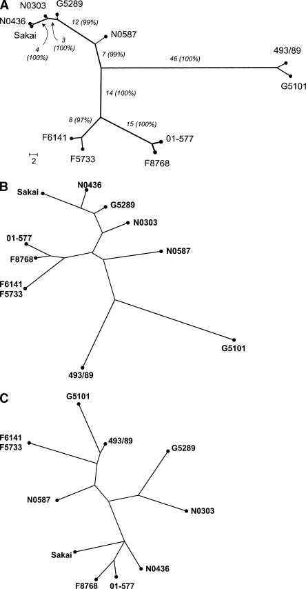 Figure 5.