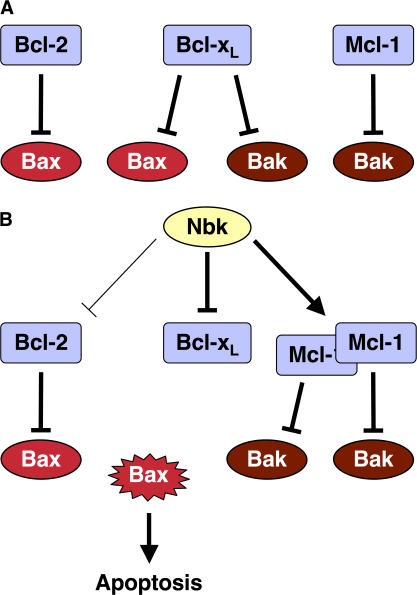 Figure 10.