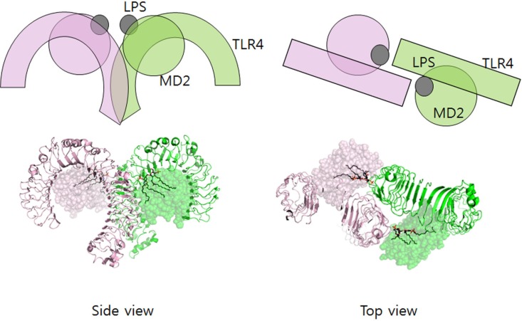 Fig. 2.