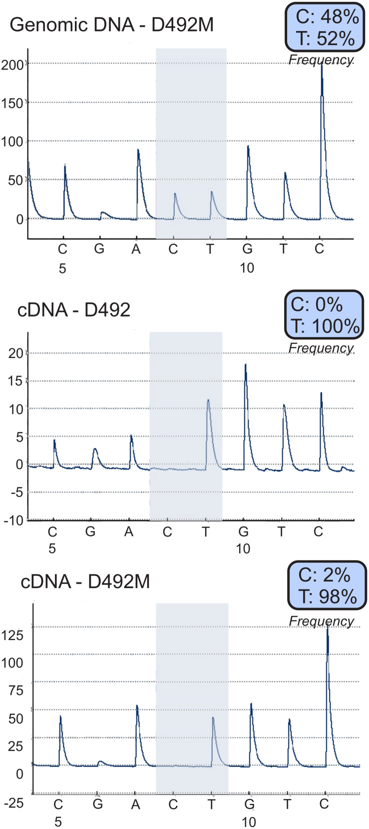 FIGURE 3