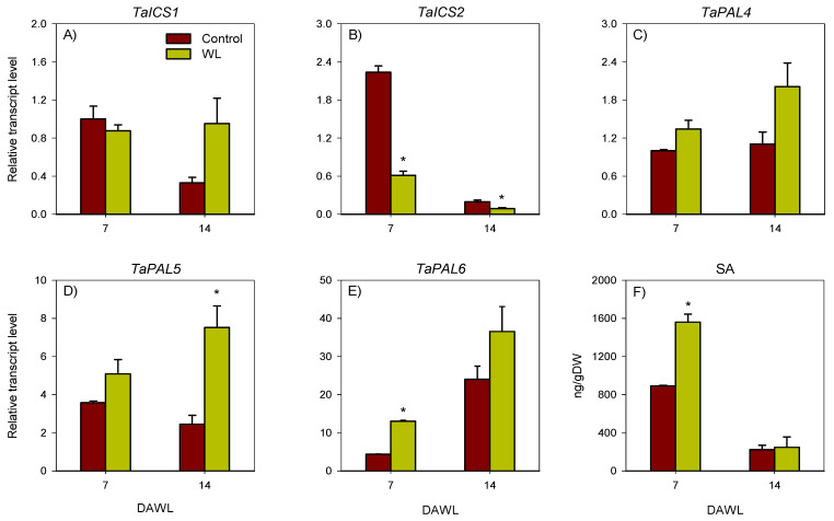 Figure 5