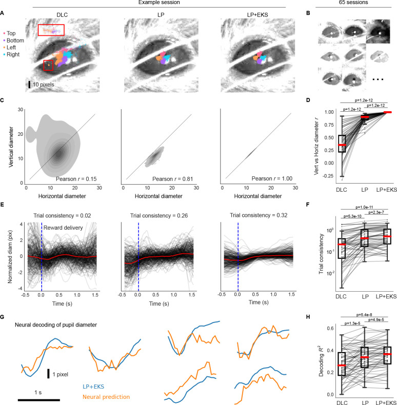 Figure 6: