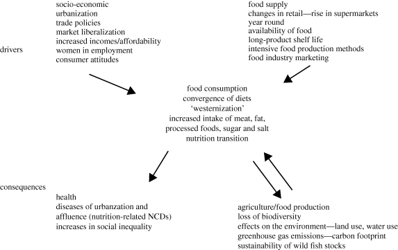 Figure 1.