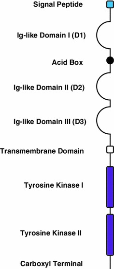 Fig. 1