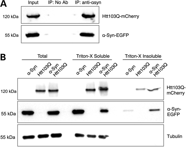 Figure 4.