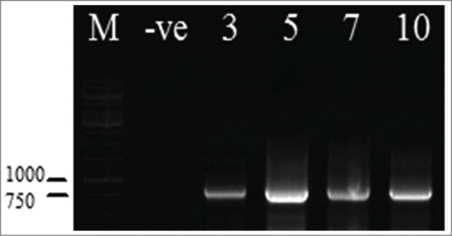 Figure 3.