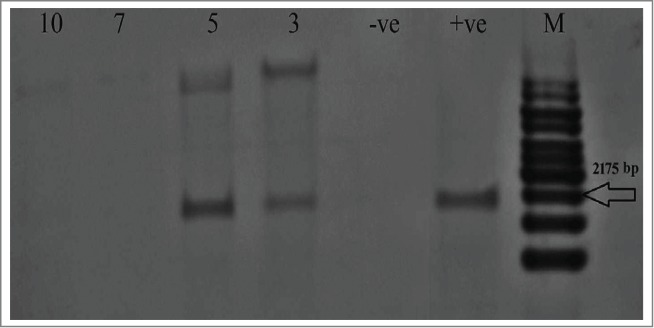 Figure 2.