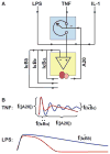 Fig. 5