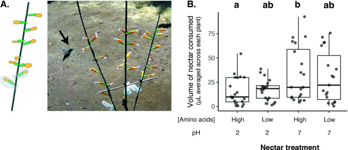 Figure 10.