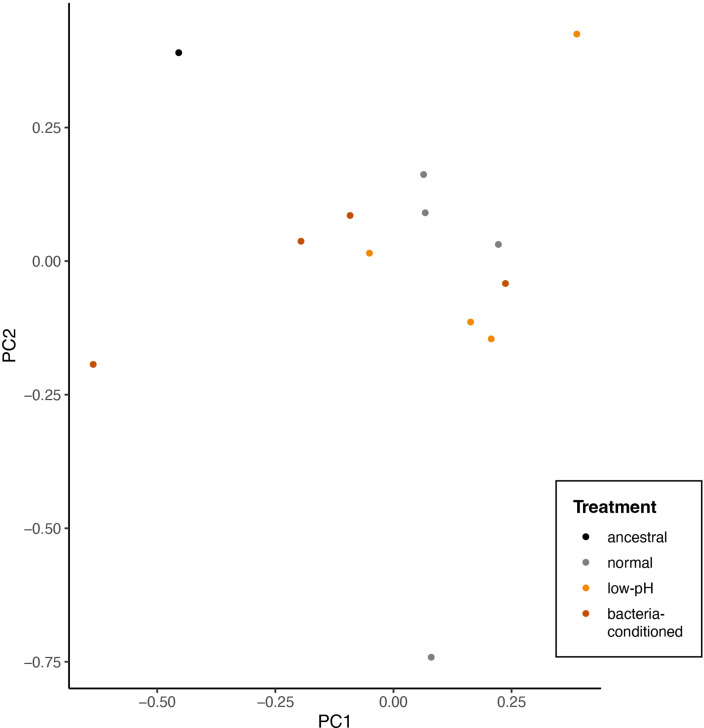 Figure 9—figure supplement 1.