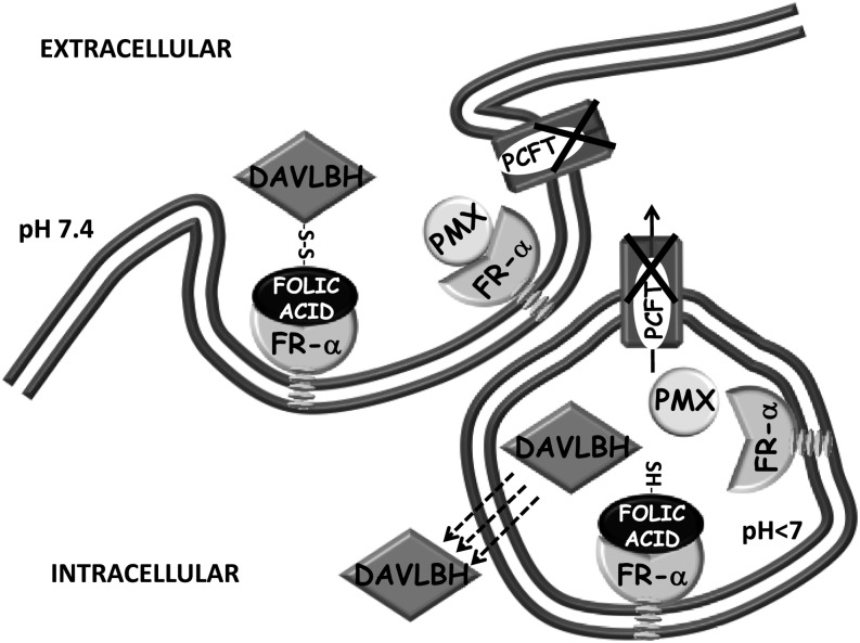 Fig. 8.