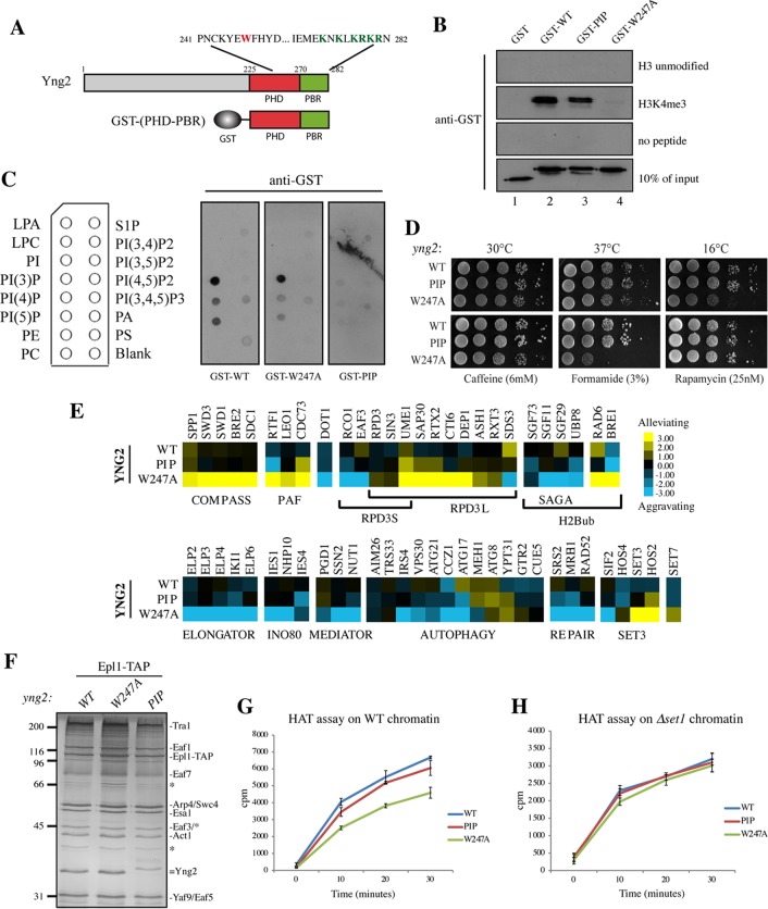 FIG 3