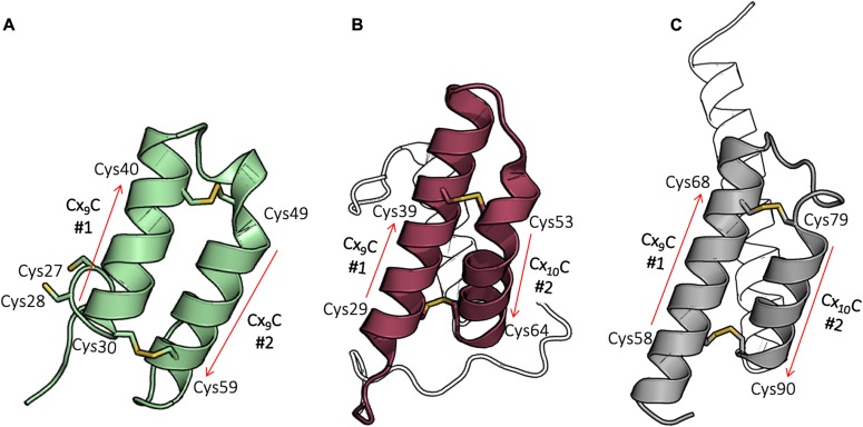 Figure 2.