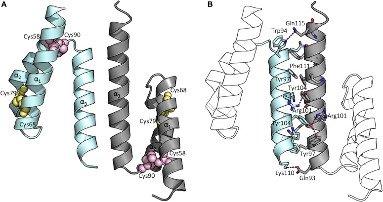 Figure 1.