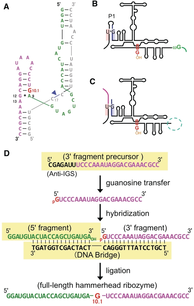 Figure 2.