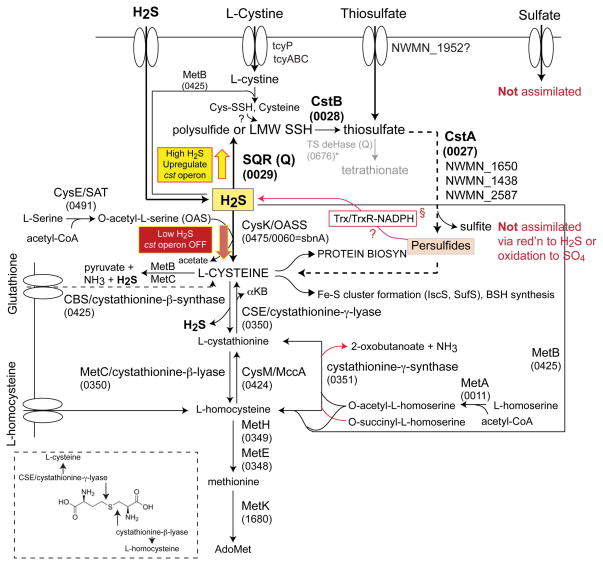 Figure 9